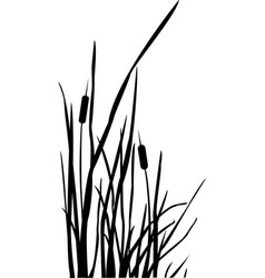 Cattail Vector At Vectorified.com 