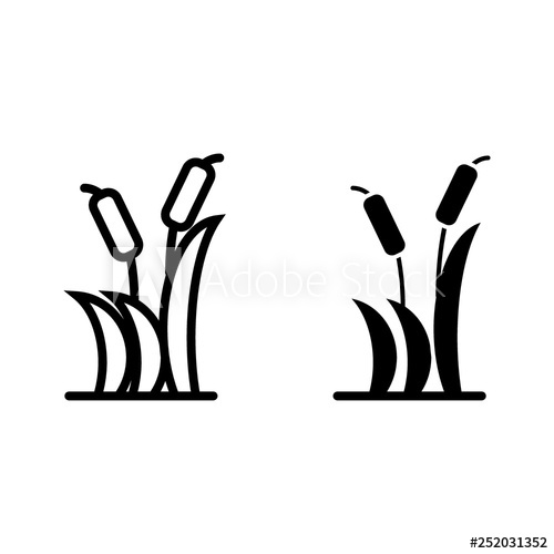 500x500 Reeds Line And Glyph Icon Cattail Vector Illustration Isolated