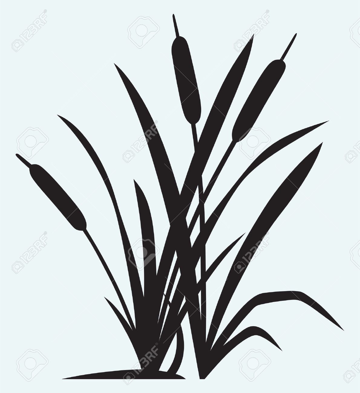 1190x1300 Cattail Cliparts, Stock Vector And Royalty Free Cattail