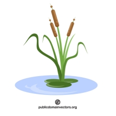 230x230 Cattail Free Vectors Downloads Found