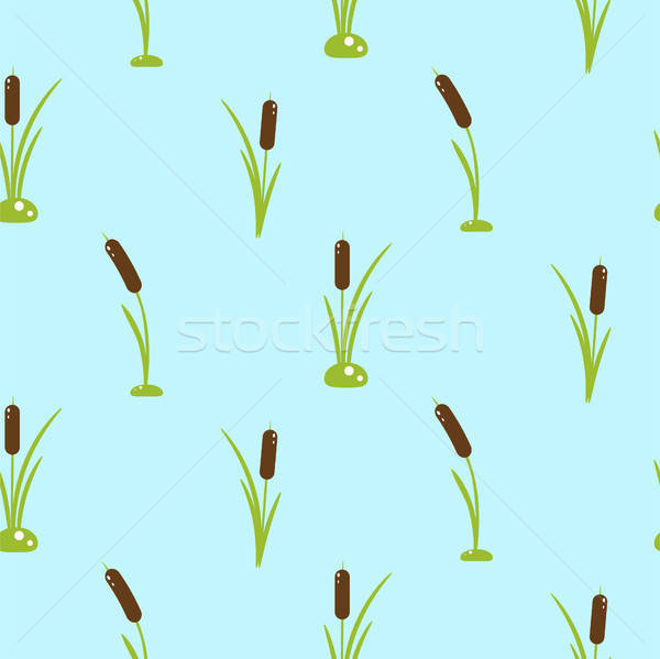 600x599 Cattail Stock Photos, Stock Images And Vectors Stockfresh