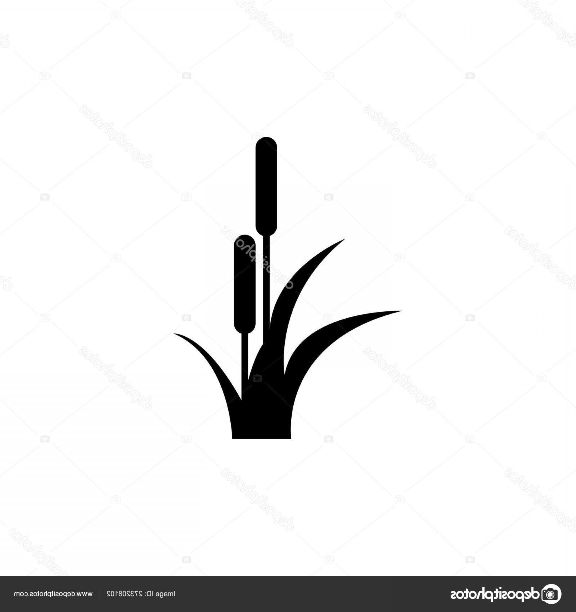 Cattail Vector at Vectorified.com | Collection of Cattail Vector free ...