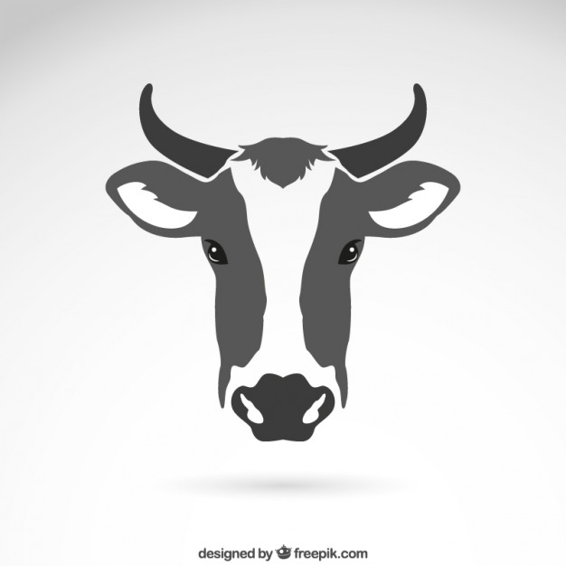 626x626 Cow Vectors, Photos And Free Download