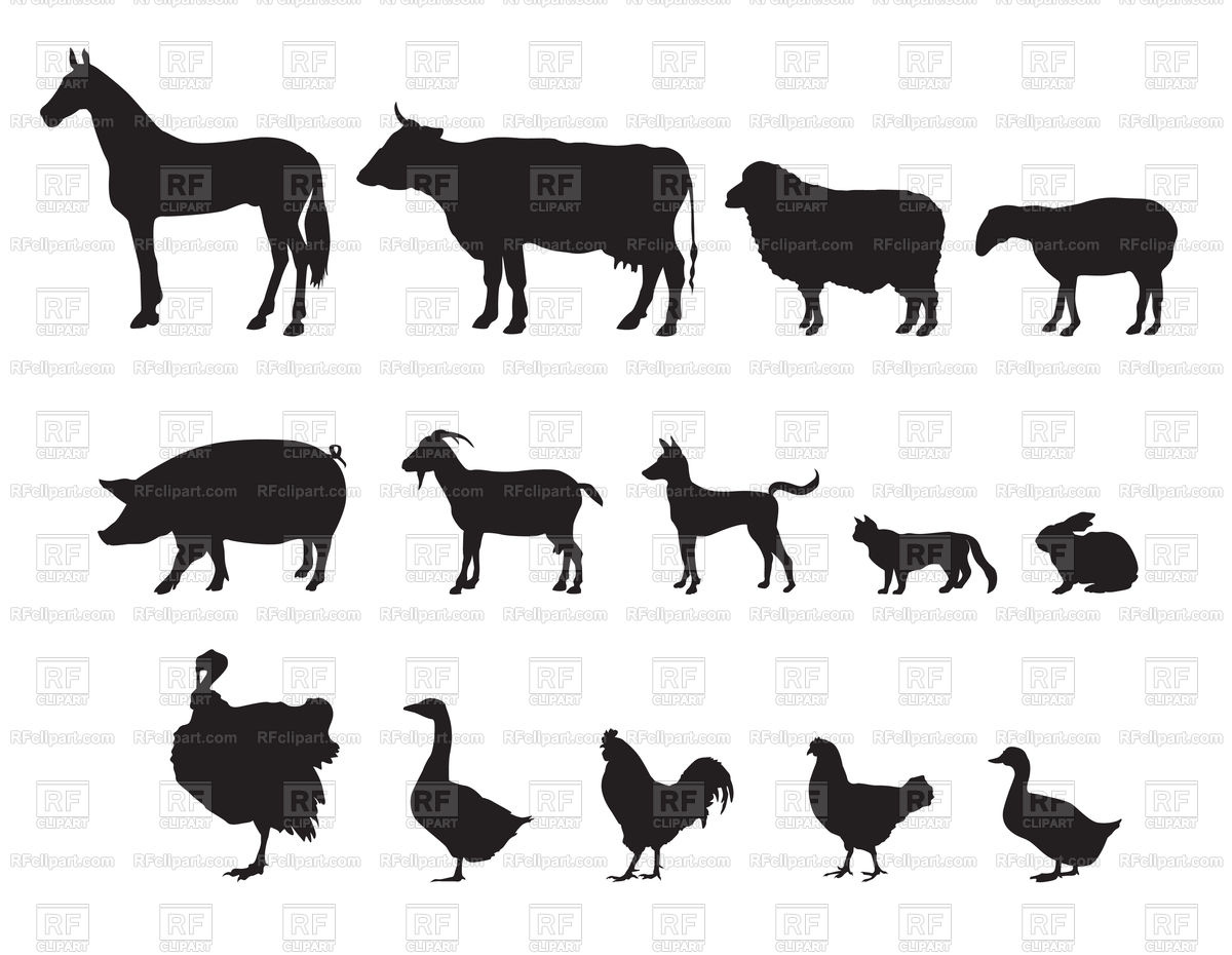 1200x930 Farm Animals Silhouette Icon Set Livestock Vector Image Of Plants