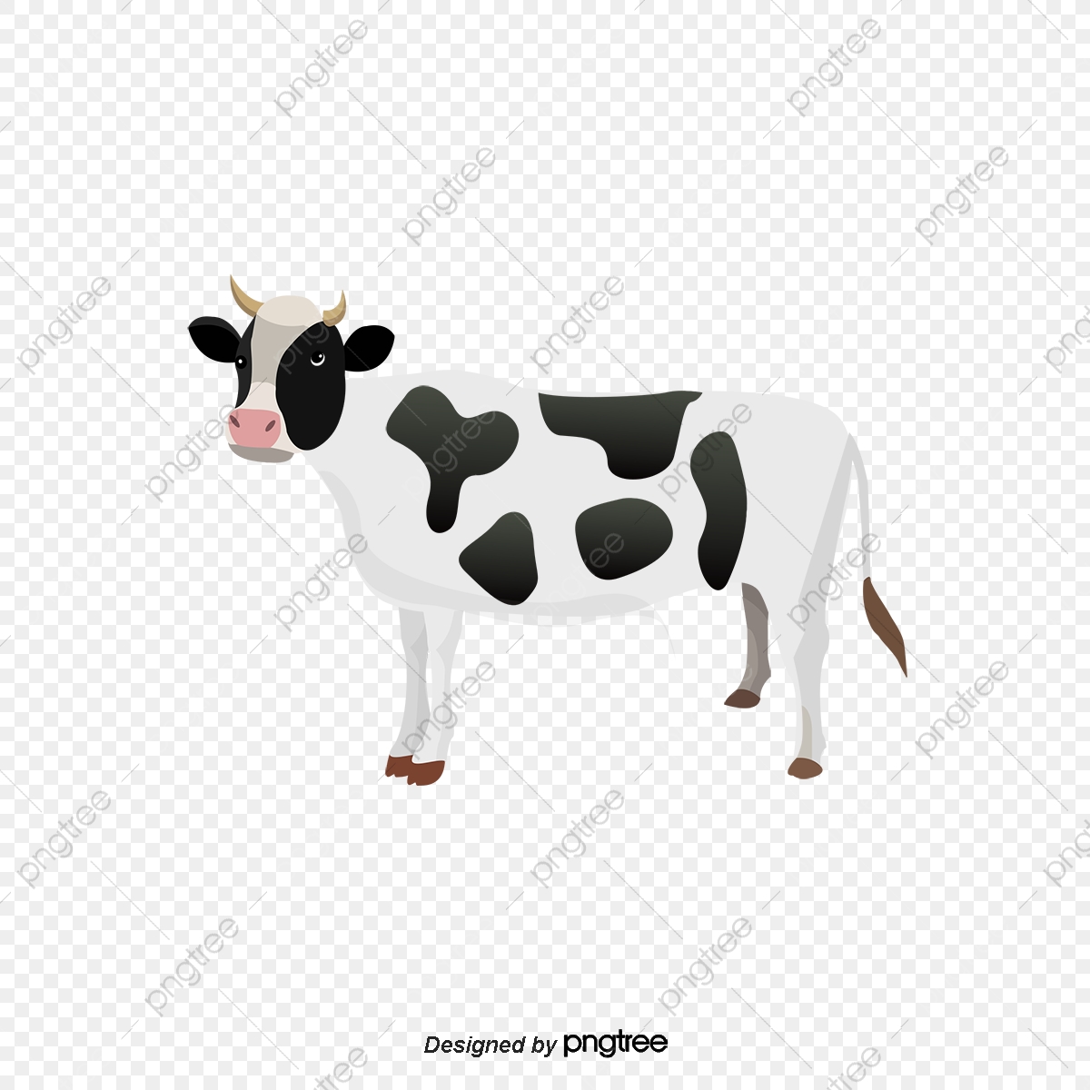 1200x1200 Vector Cartoon Cows, Cartoon Clipart, Dairy Cow, Cattle Png