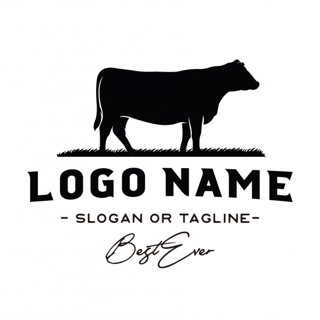 626x626 Vintage Cattle Beef Logo Design Inspiration Vector Vector