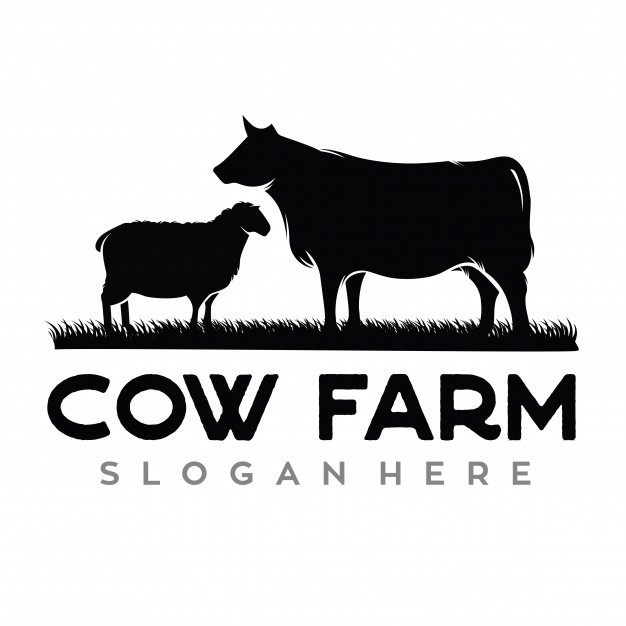 626x626 Vintage Cattle Vector Premium Download