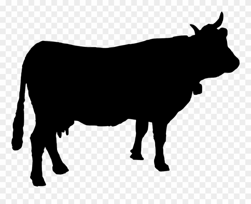 107 Cattle vector images at Vectorified.com