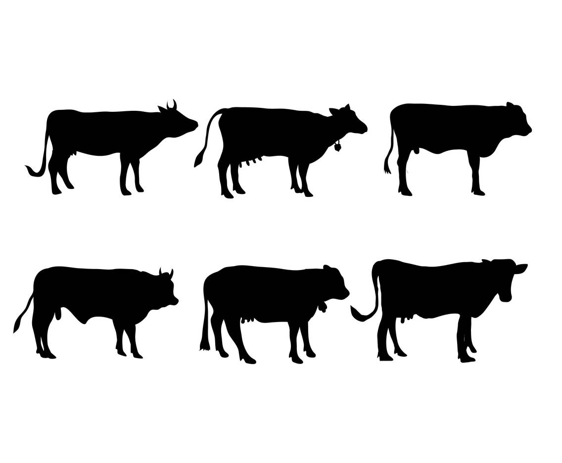 1136x936 Cattle Vector Set Vector Art Graphics