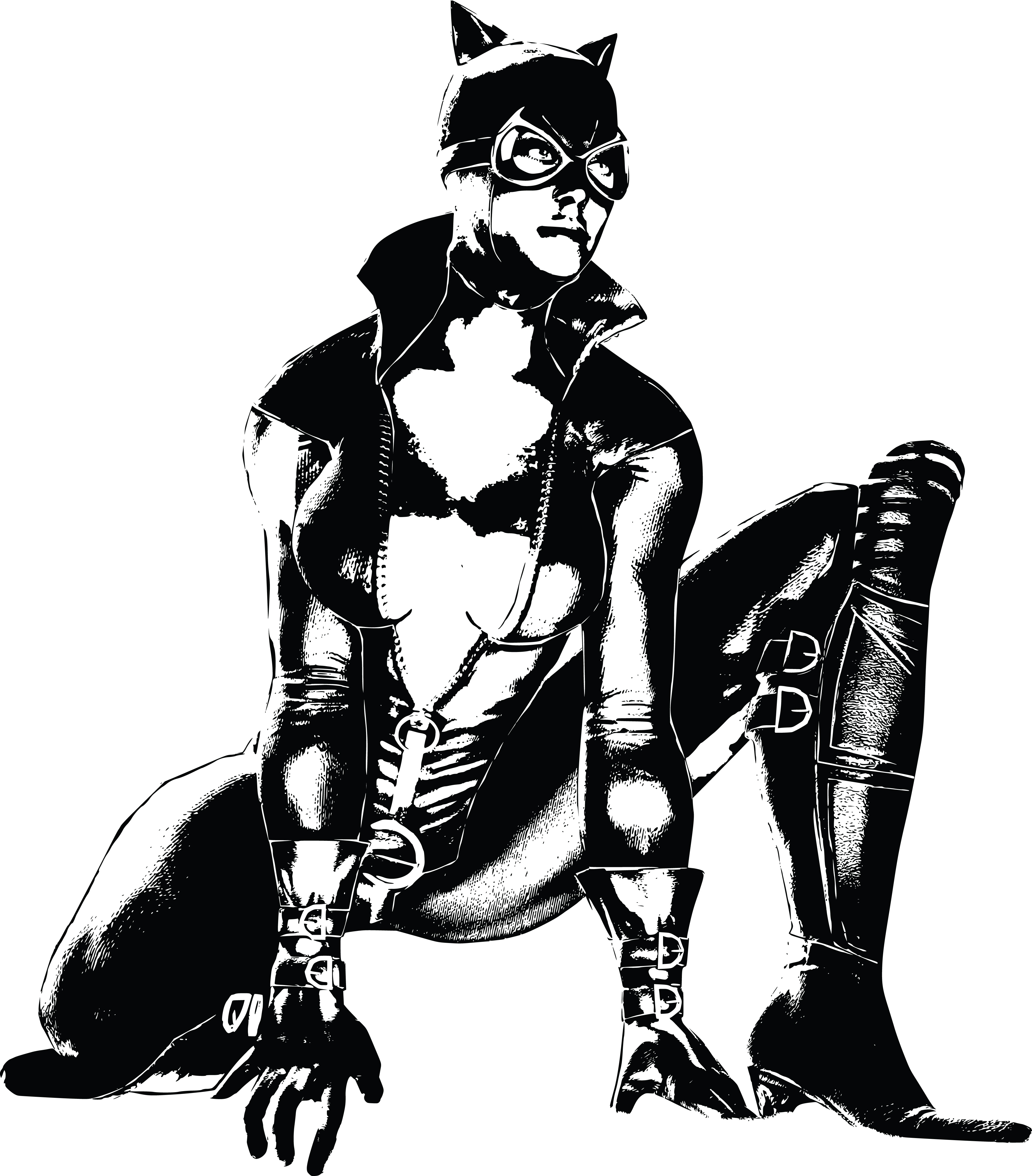 4000x4558 Catwoman Clipart