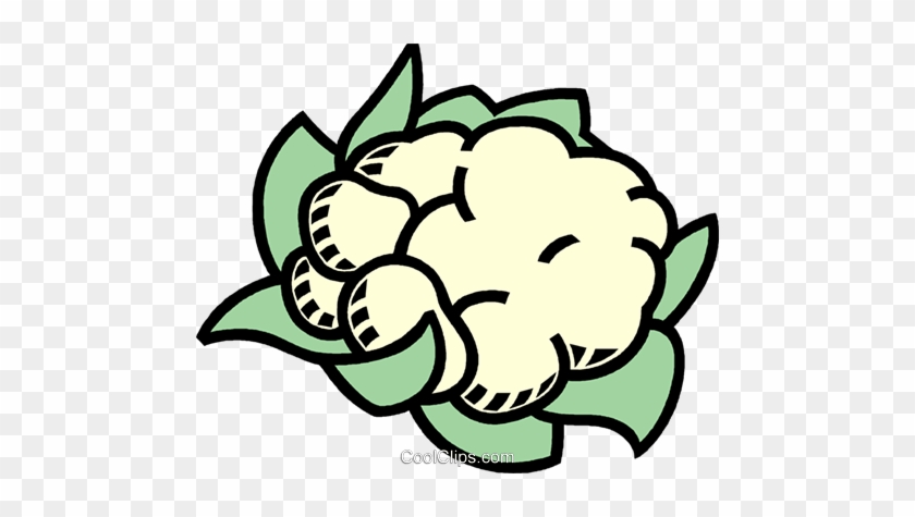 840x475 Cauliflower Royalty Free Vector Clip Art Illustration