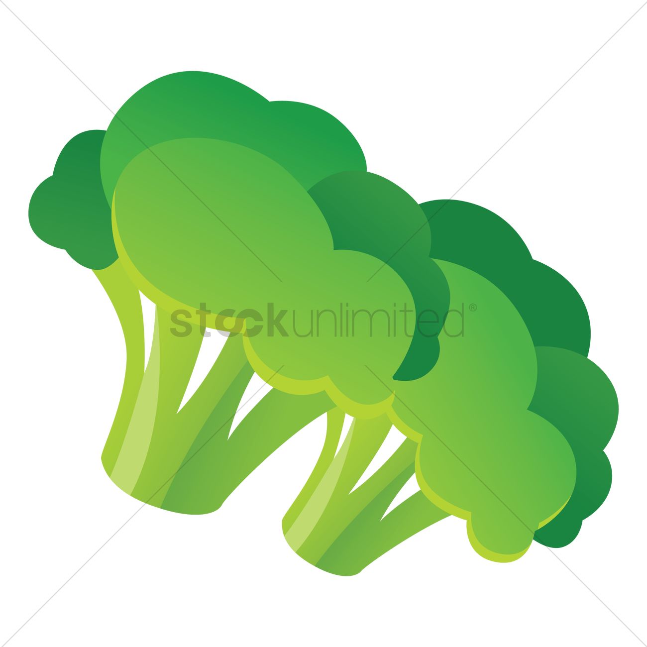 1300x1300 Cauliflower Vector Image