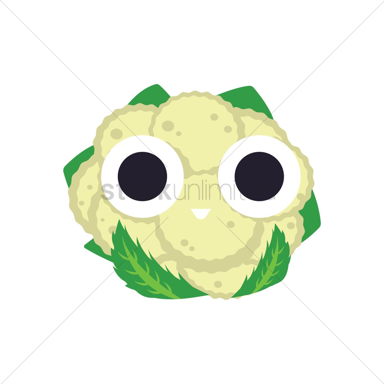 1300x1300 Cauliflower Vector Image