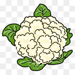 260x260 Huge Collection Of 'cauliflower Drawing' Download More Than
