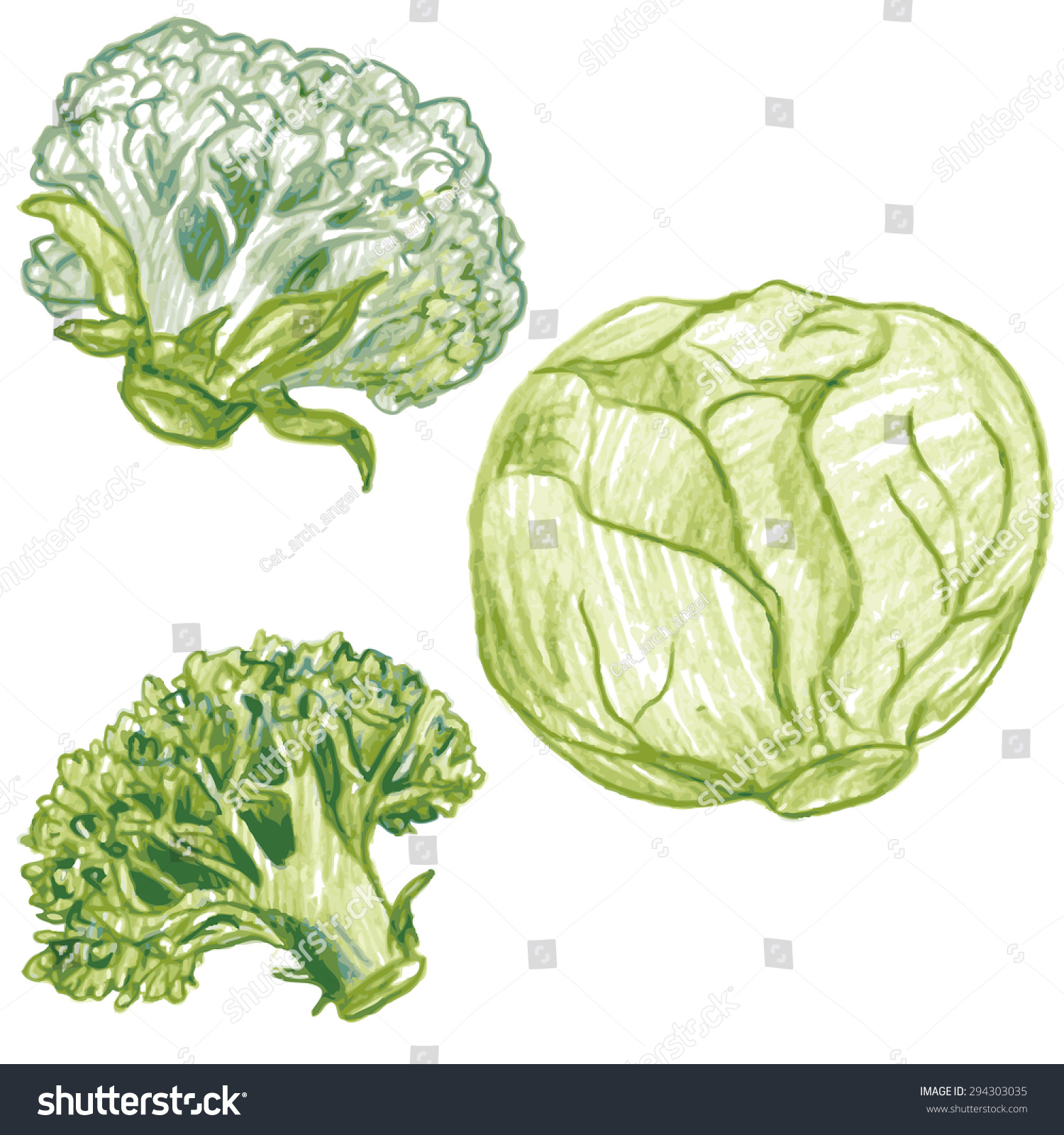 1500x1600 Pencil Sketch Of Cauliflower Vector Set Doodle Vegetables