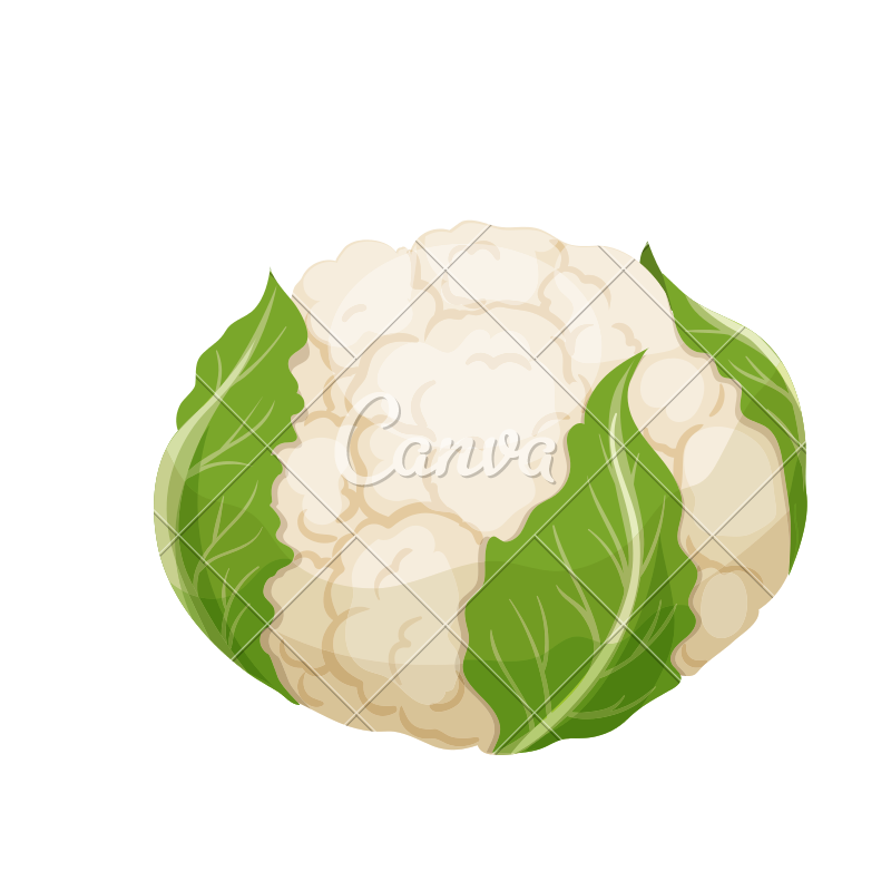 800x800 Vector Cauliflower Icon