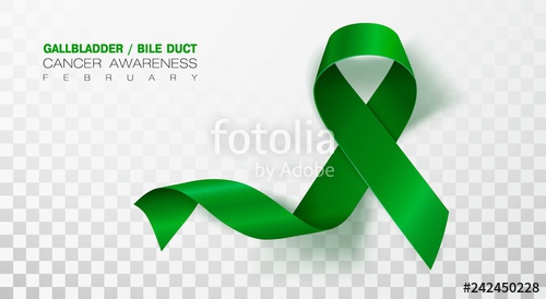 Gallbladder And Bile Duct Cancer Awareness Month Realistic Kelly 500x274 Gallbladder And Bile Duct Cancer Awareness Month Realistic Kelly