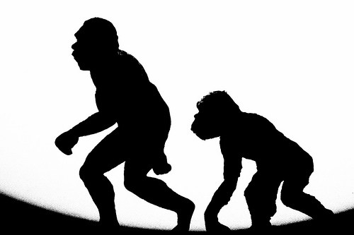 500x333 Collection Of 'caveman Silhouette' Download More Than Images