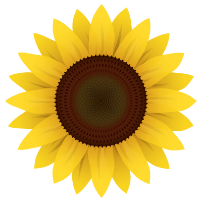 400x400 Sunflower Vector Png Image Purepng