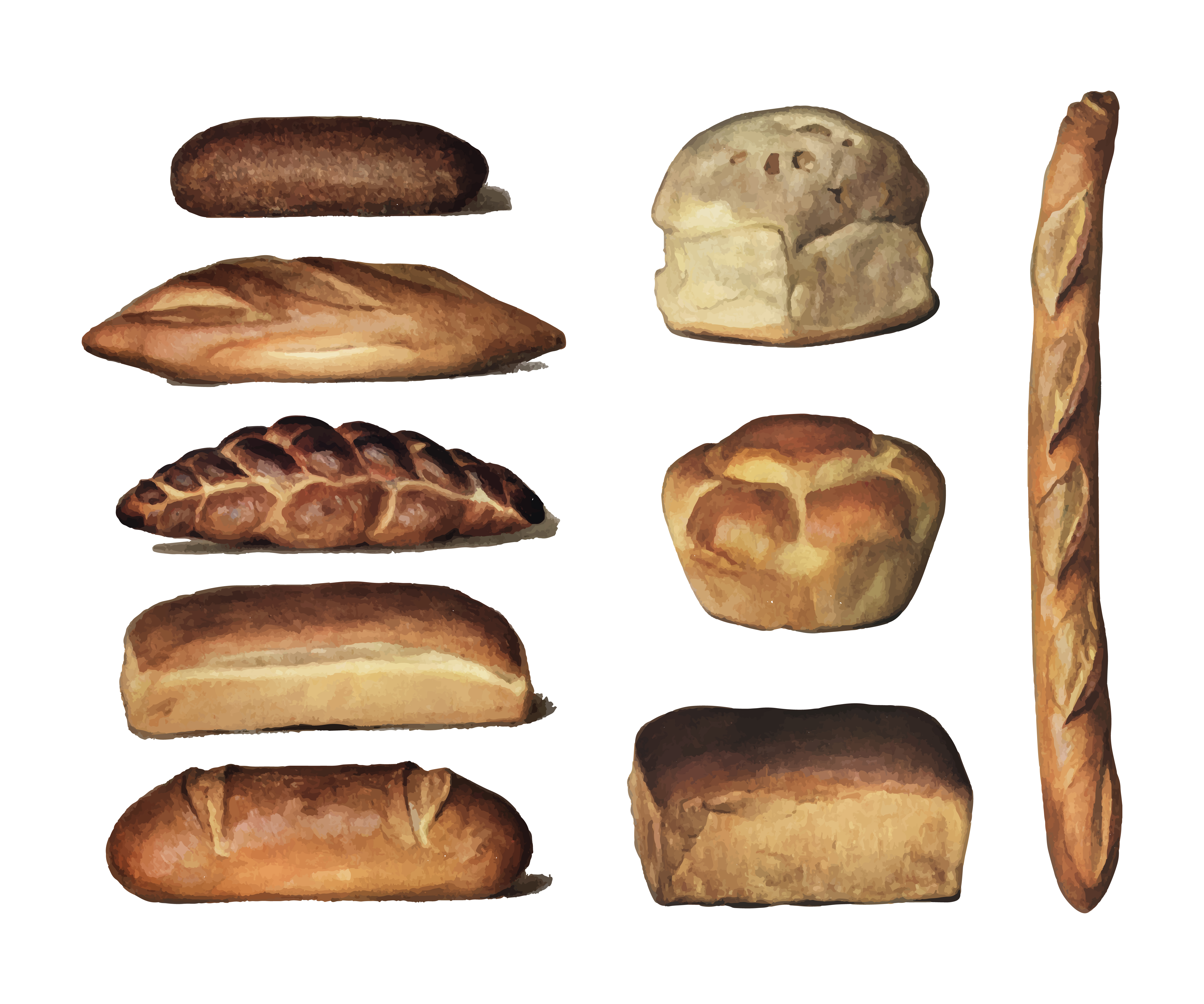 5000x4167 Cc0 Free Vector Art