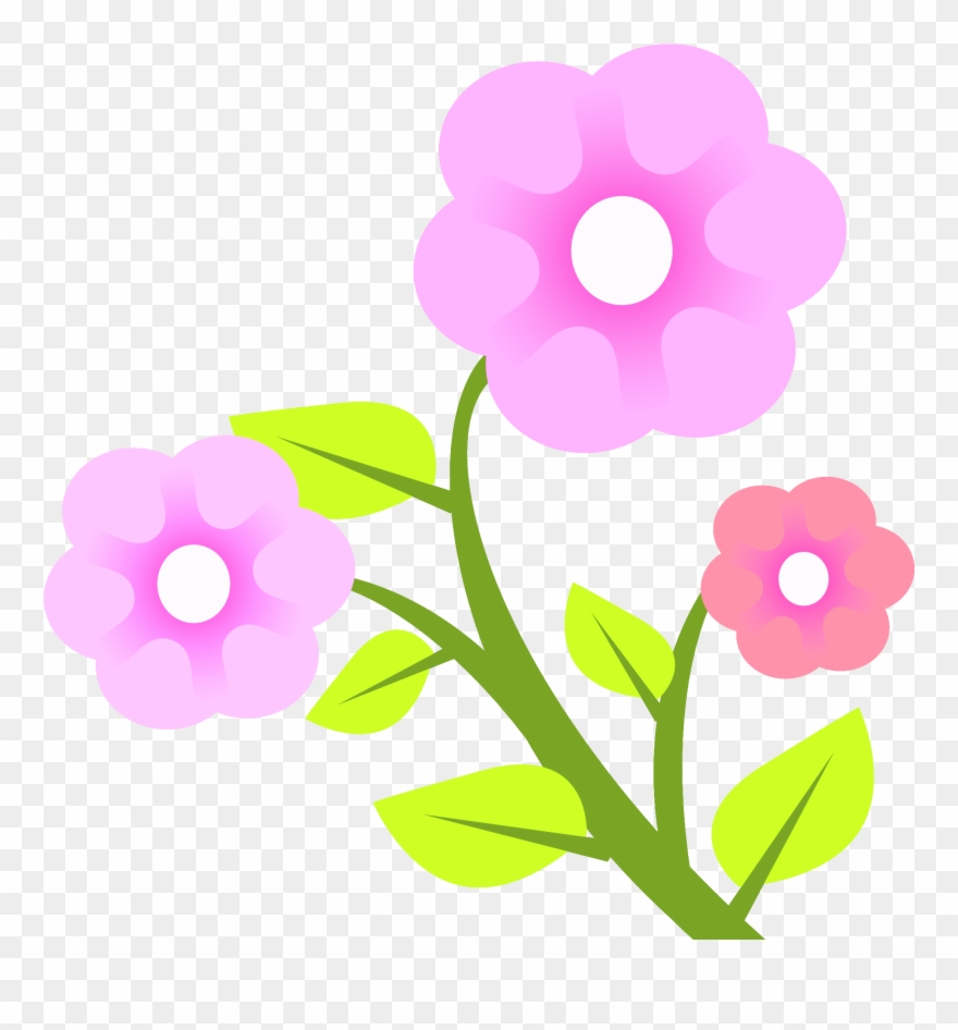 880x946 Flower Vector Png Image Purepng Free Transparent Cc0