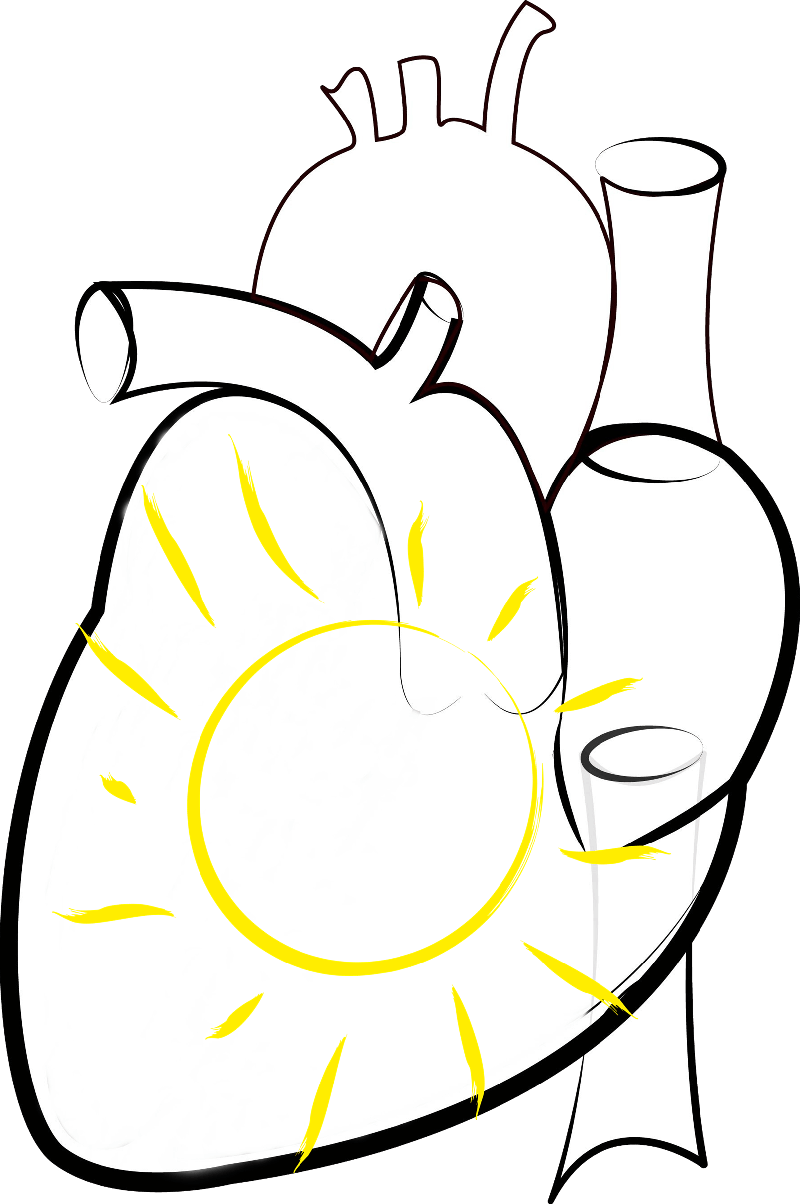 1608x2418 Free Picture Vector, Photomontage, Illustration, Sketch, Heart