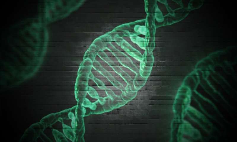 800x480 Researchers Redefine The Footprint Of Viral Vector Gene Therapy