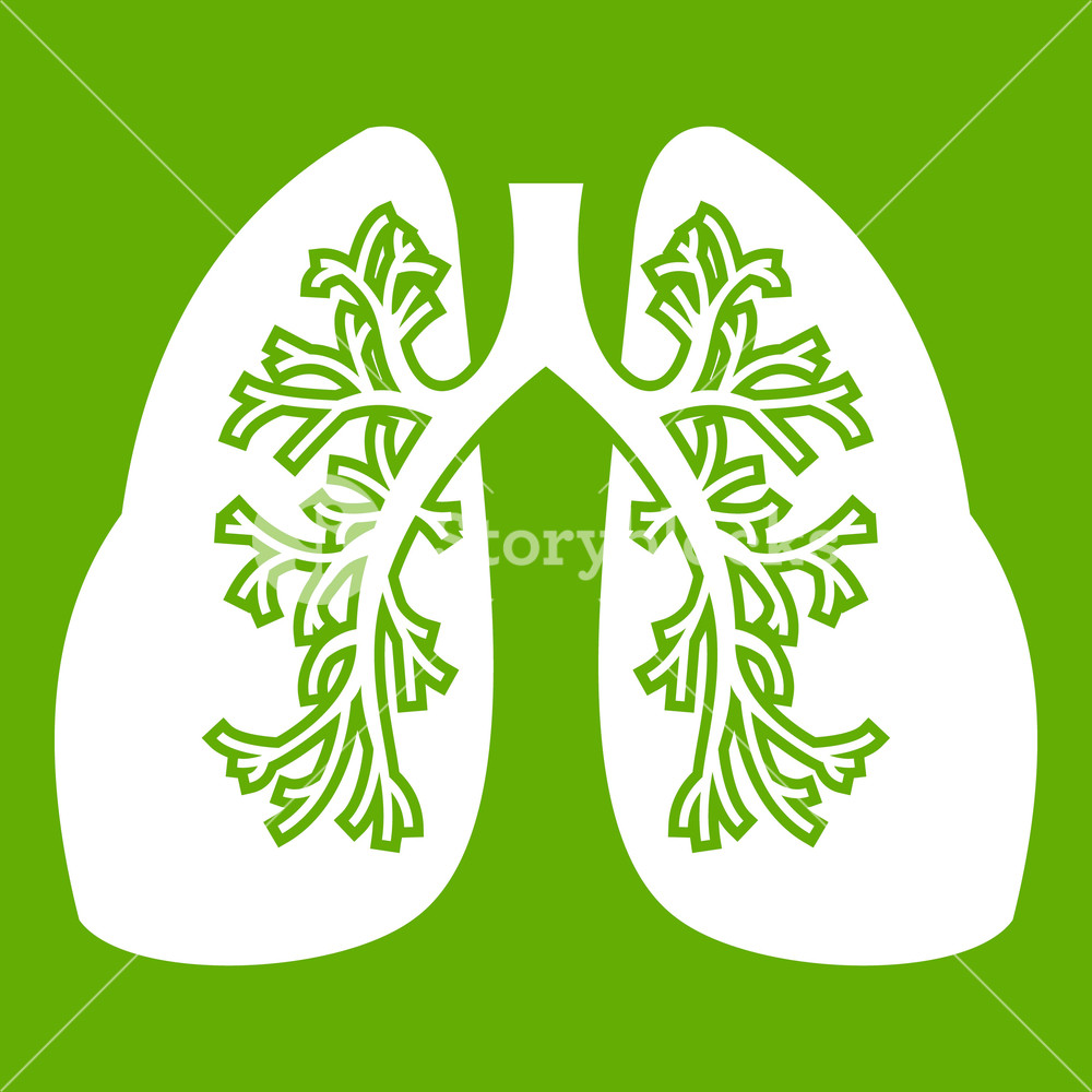 Lungs Icon White Isolated On Green Background Vector Illustration 1000x1000 Lungs Icon White Isolated On Green Background Vector Illustration