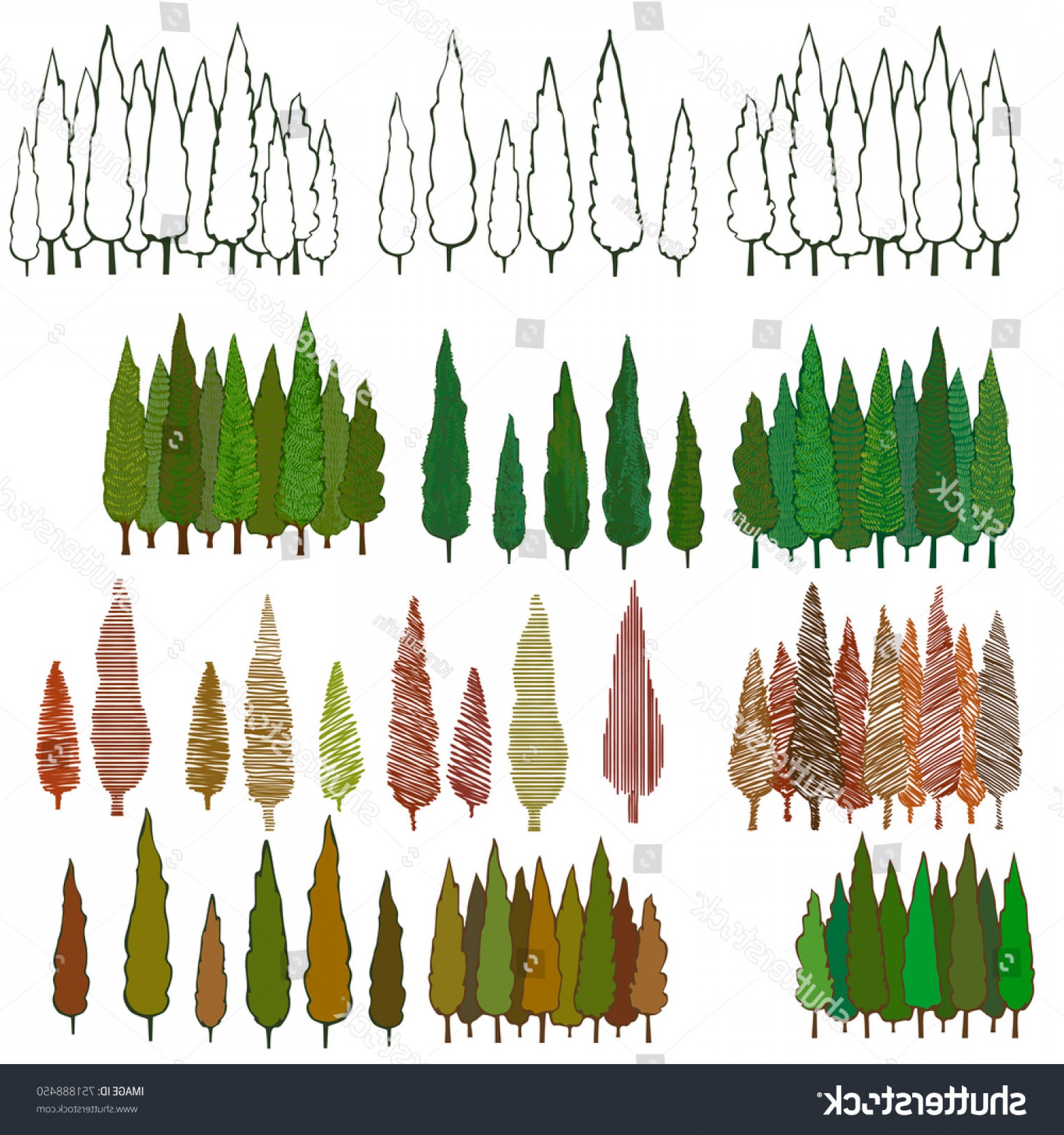 Cedar Tree Vector