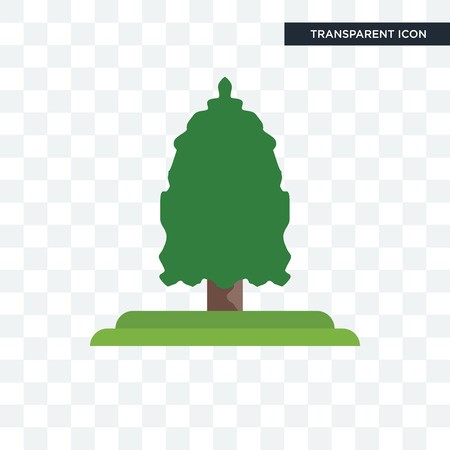 450x450 Eastern Cedar Tree Vector Icon Isolated On Transparent Background
