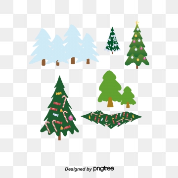 360x360 Vector Ceda Vector, Free Download Cedar Tree, Cedar Bonsai