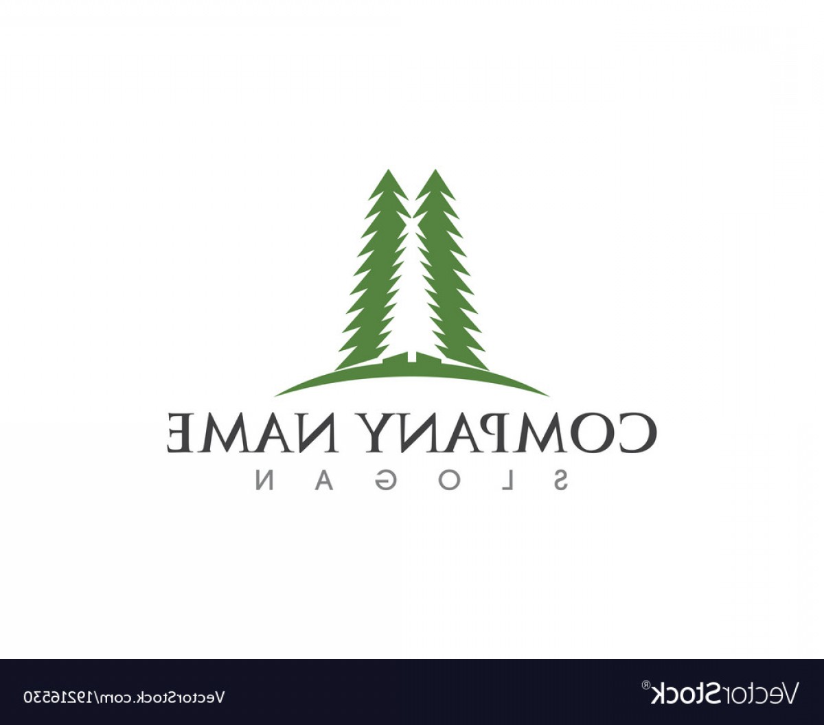 1200x1056 Cedar Tree Logo Template Vector Soidergi