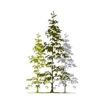 360x360 Cedar Tree Png, Vector, And Clipart With Transparent