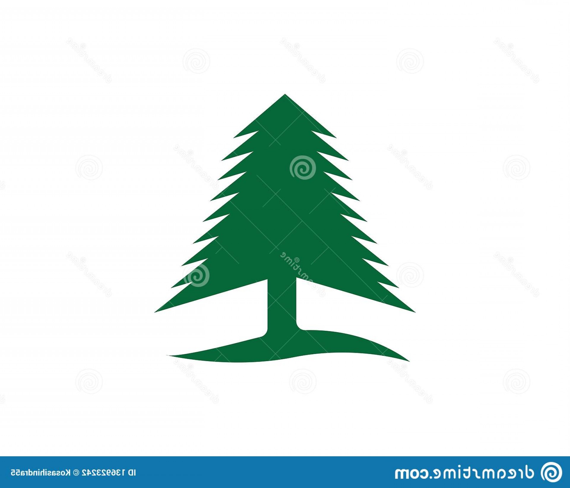 1920x1642 Cedar Tree Vector Lamaison