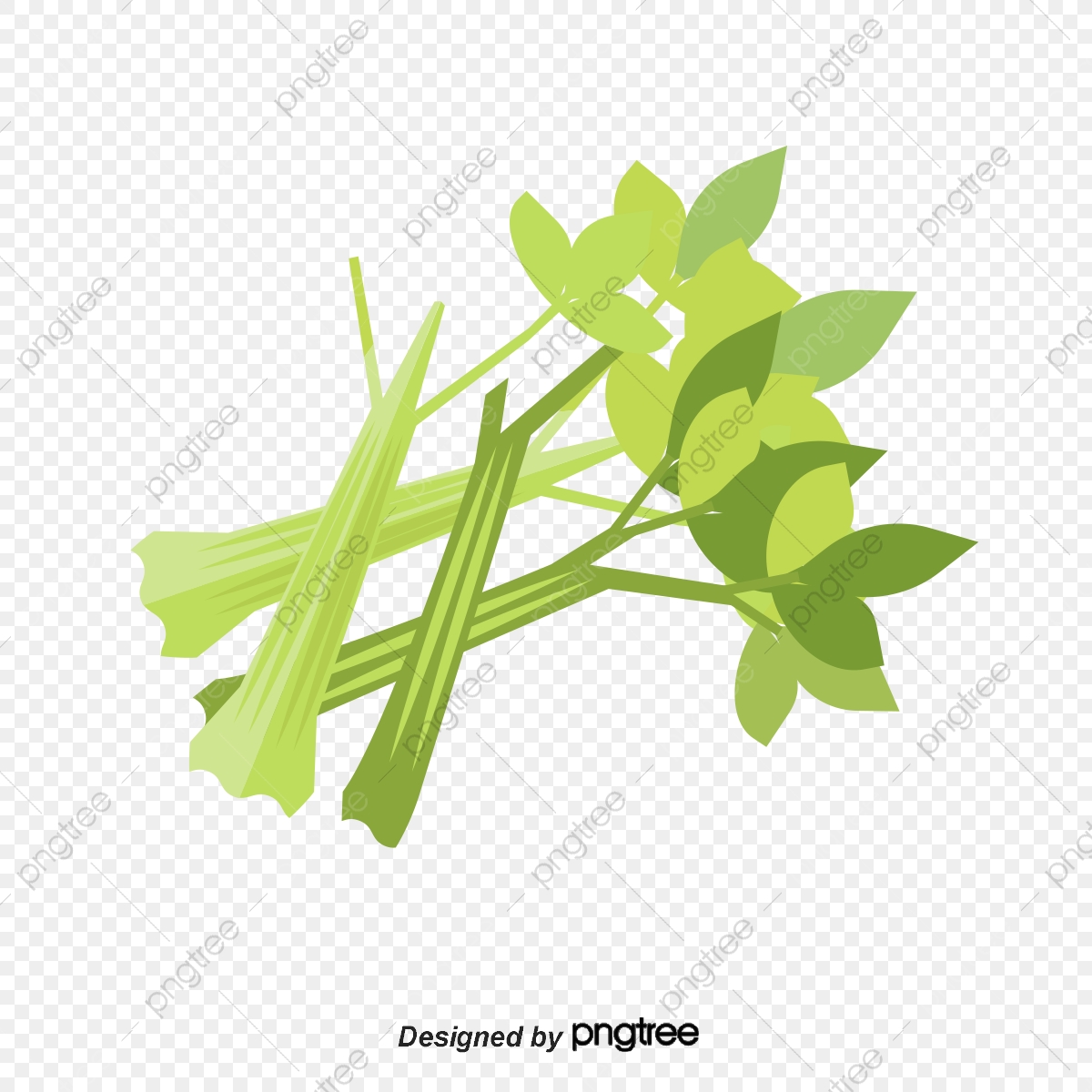 1200x1200 Celery Vector Material, Fresh Celery, Vegetables Png Transparent