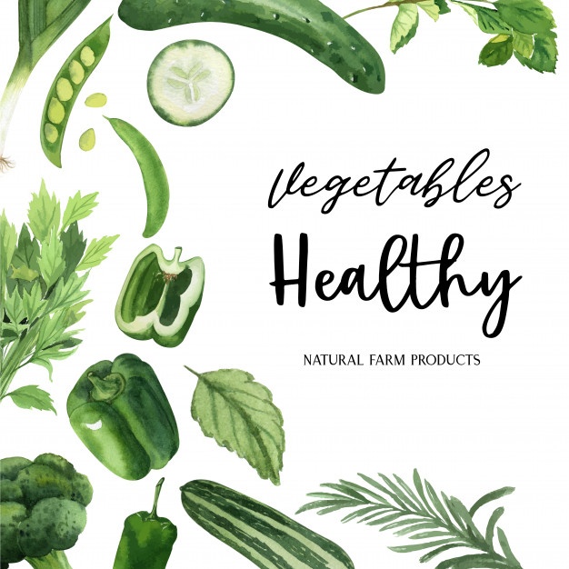 626x626 Celery Vectors, Photos And Free Download