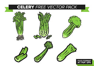 310x217 Free Celery Vector Free Graphics Uihere