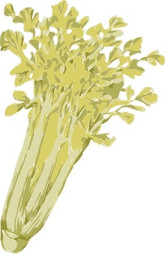 239x368 Free Celery Vector Free Vector Download