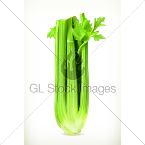 500x500 Celery, Vector Illustration Gl Stock Images