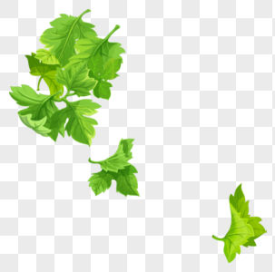 303x300 Watercolor Celery Vector Free Illustration Png Image Picture Free