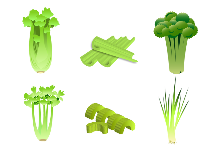 700x490 Celery Free Vector Art