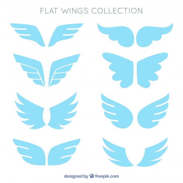 Celestial Wings Set In Flat Design Vector Free Download 626x626 Celestial Wings Set In Flat Design Vector Free Download