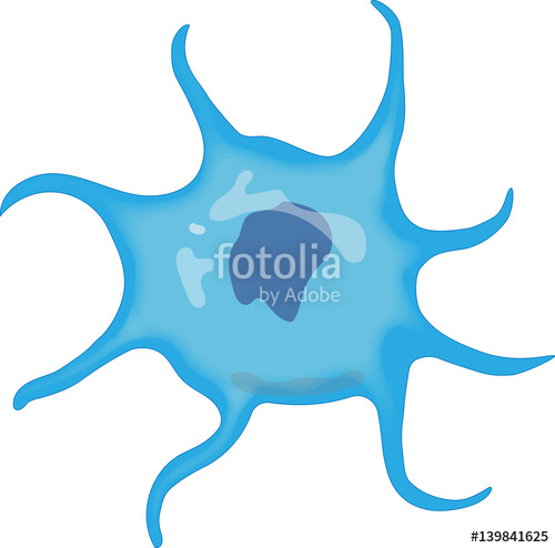 Dendritic Cell Stock Image And Royalty Free Vector 500x494 Dendritic Cell Stock Image And Royalty Free Vector