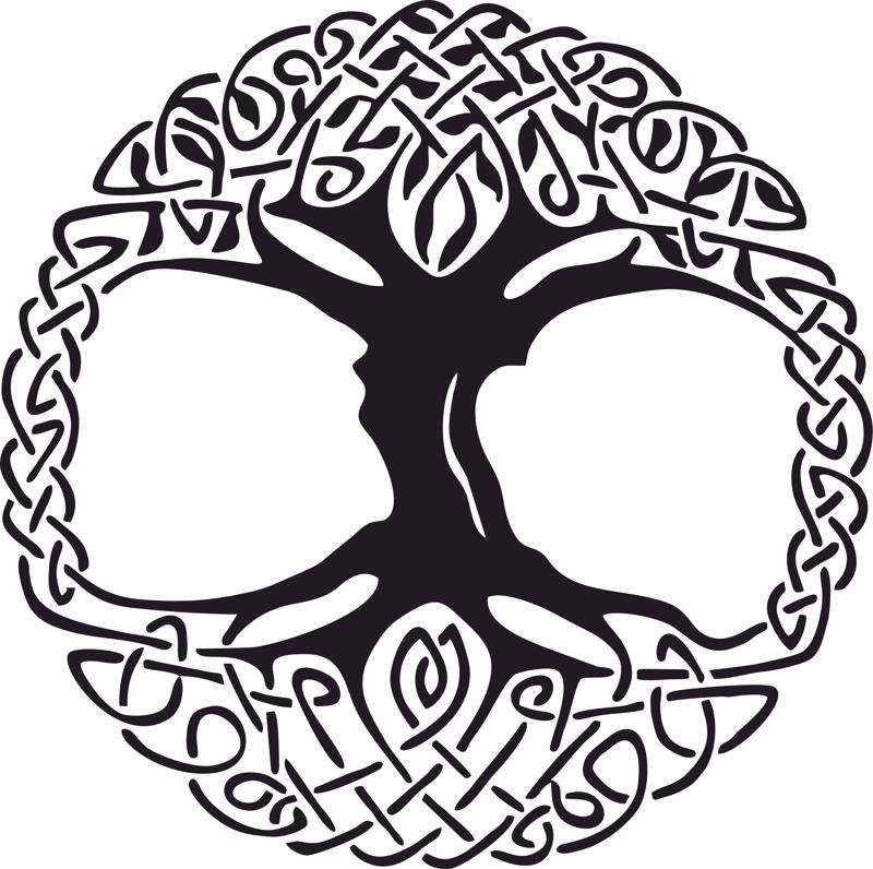 800x796 Celtic Tree Of Life Vinyl Window Sticker Vector Free Vector Free