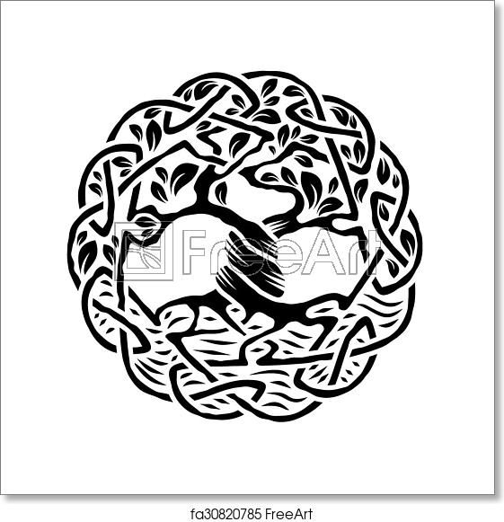 561x581 Free Art Print Of Celtic Tree Of Life Illustration Of Celtic Tree