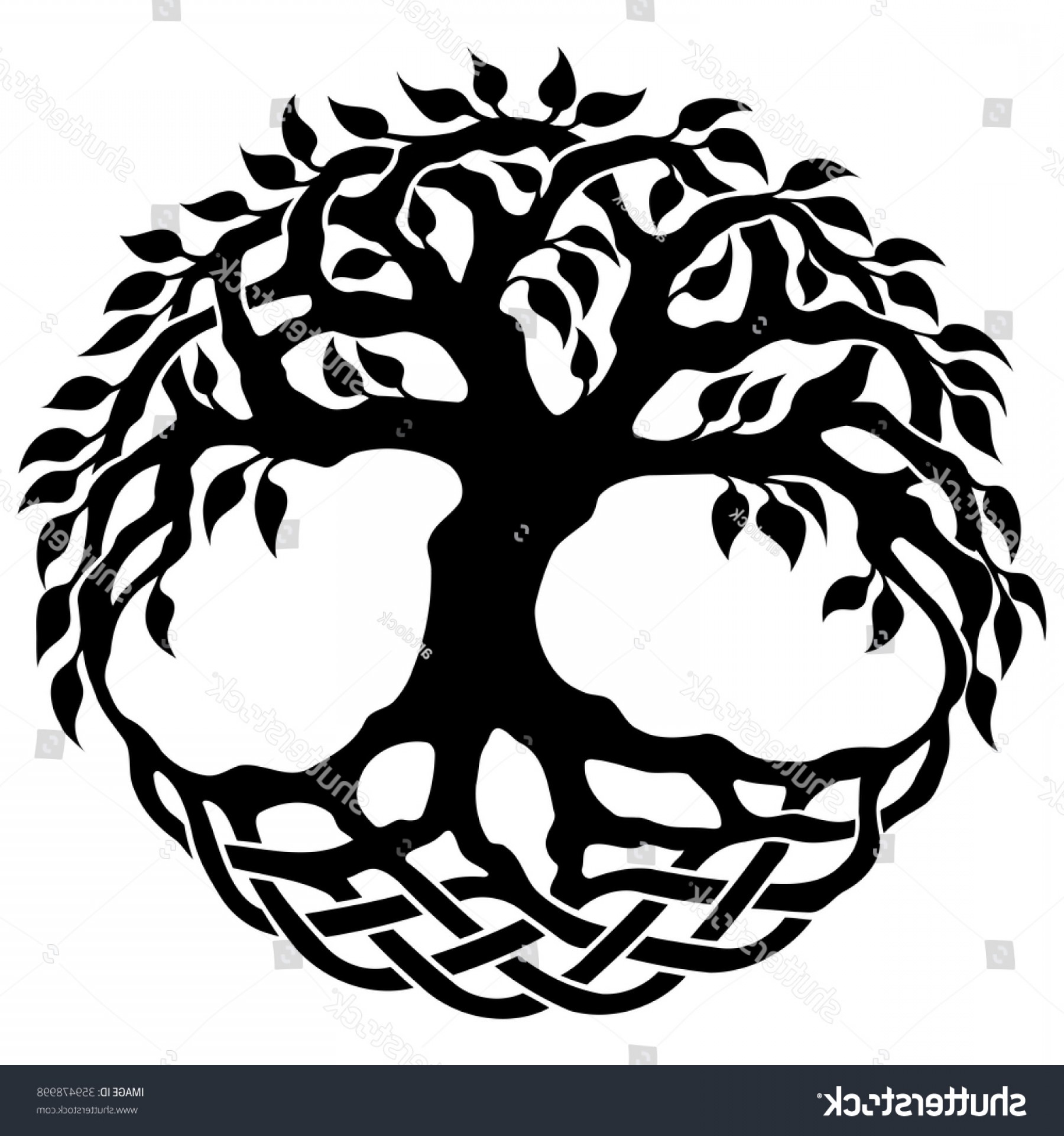 Celtic Tree Of Life Vector at Vectorified.com | Collection of Celtic ...