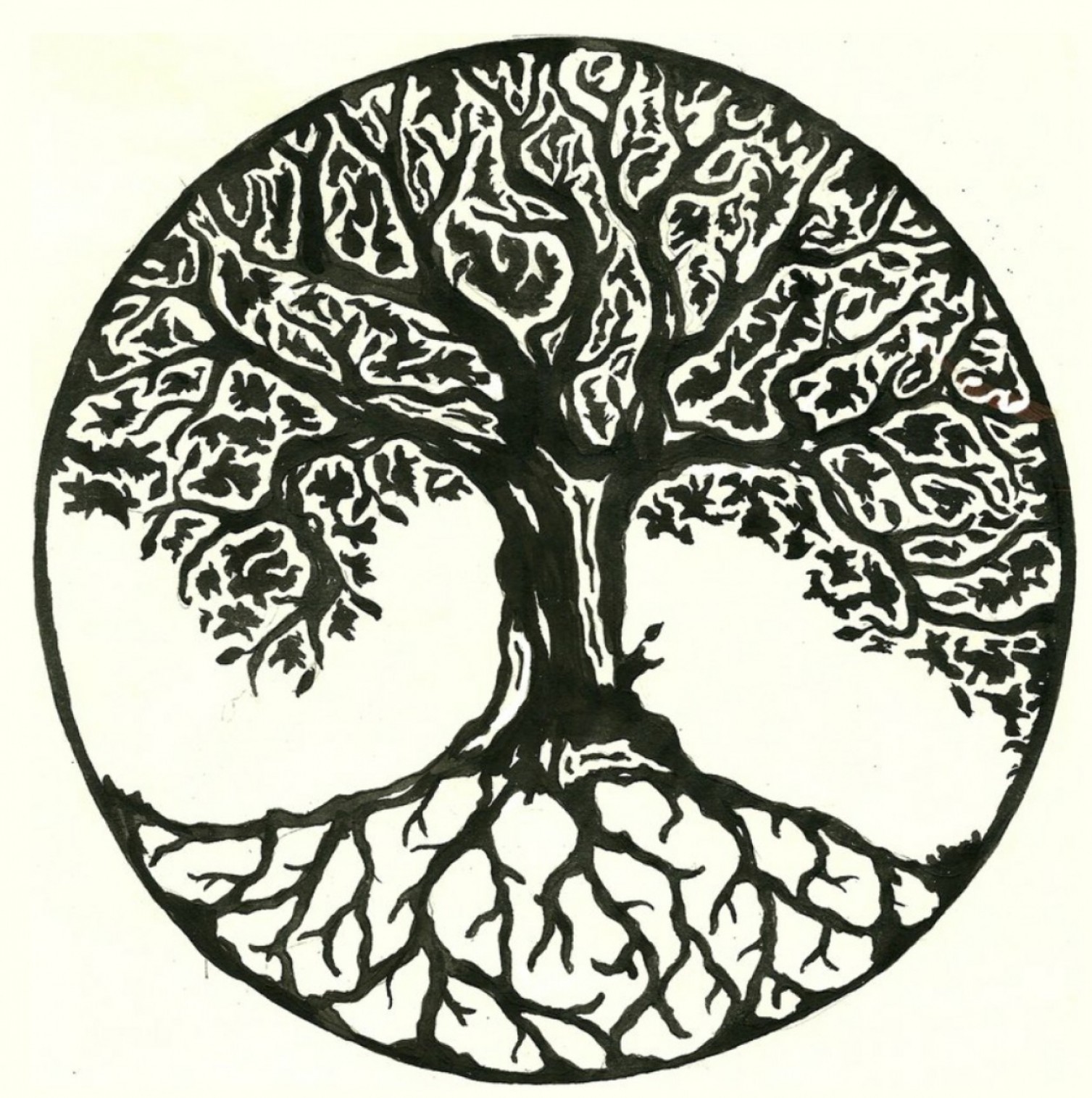 Celtic Tree Of Life Vector at Collection of Celtic