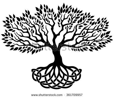 Celtic Tree Of Life Stock Photos, Royalty Free Images Vectors 450x387 Celtic Tree Of Life Stock Photos, Royalty Free Images Vectors