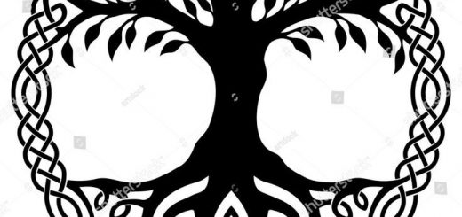520x245 Celtic Best Vector Download