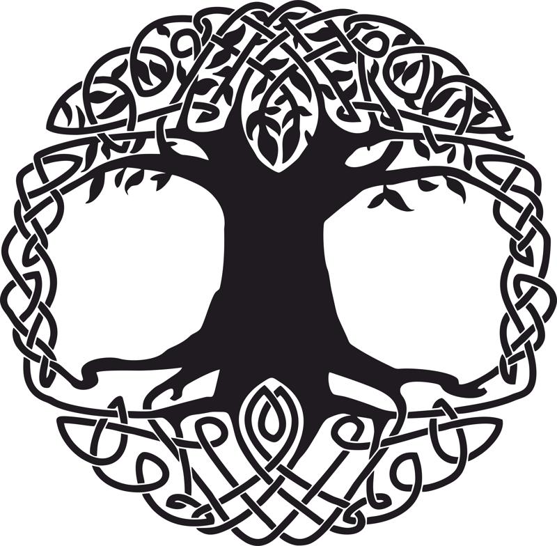 800x784 Celtic Tree Tattoo Design Free Vector Cdr Free Download Vector